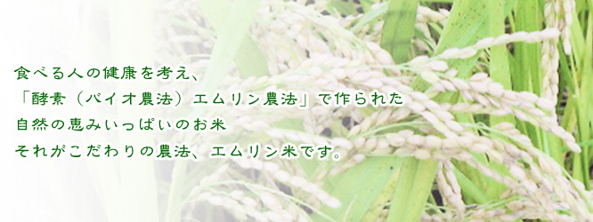 食べる人の健康を考え、
「酵素(バイオ農法) エムリン農法」で作られた
自然の恵みいっぱいのお米
それがこだわりの農法、エムリン米です。