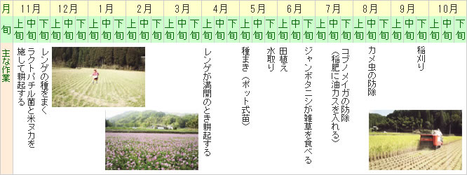 お米栽培こよみ