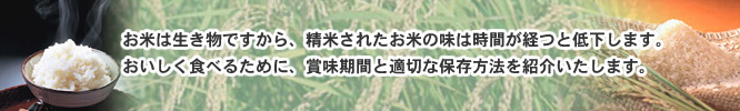 ���������H�ׂ邽�߂ɁA�ܖ����ԂƓK�؂ȕۑ����@���Љ�����܂��B