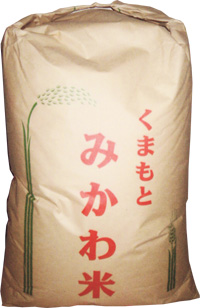 �y�f�ā@�G��������  30kg�i���āj 